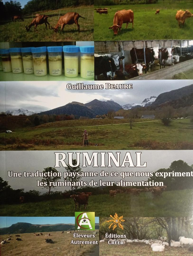 ruminal
